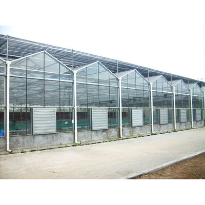 ποιότητας  Tomato Mushroom Growing with Commercial Hydroponic Systems Gothic Polycarbonate Cover Type Greenhouse εργοστάσιο