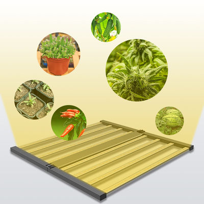 ποιότητας  Seed Seed Growing Full Spectrum 600W Indoor Plants Hydroponic Lamp Folding Greenhouse Lamp Dimmable 4x4 lm301h Led Grow Light εργοστάσιο